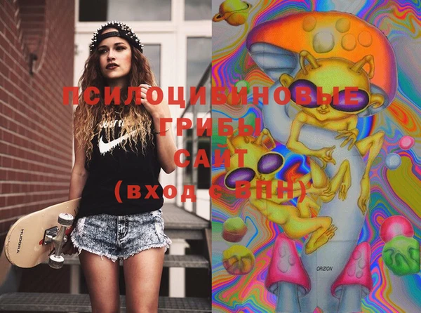PSILOCYBIN Новый Уренгой