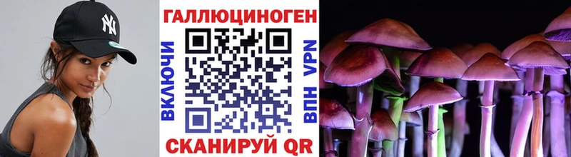 Галлюциногенные грибы Cubensis Печоры