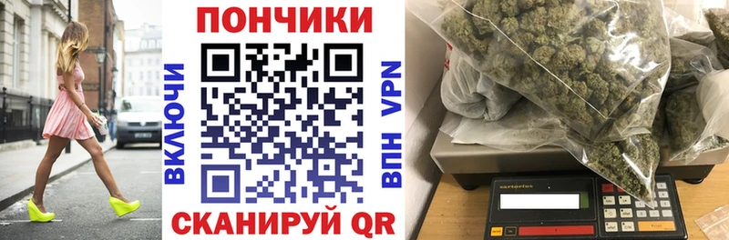 Бошки марихуана сатива  Купить закладки  Печоры 